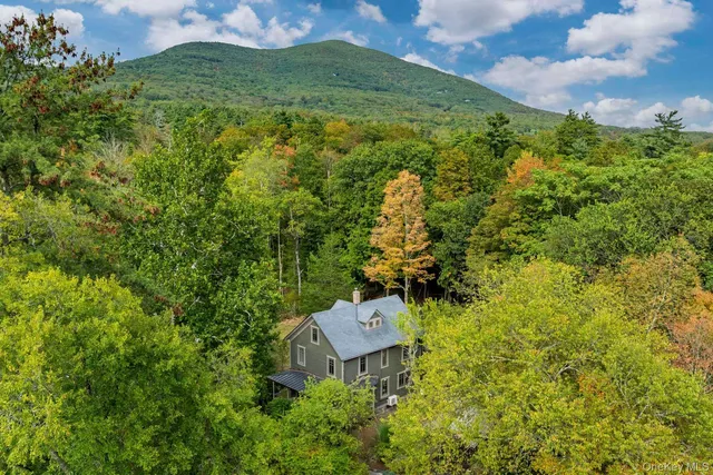 a view of a back yard