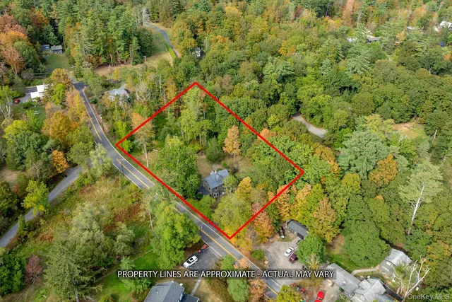 a picture of an outdoor space with a tree