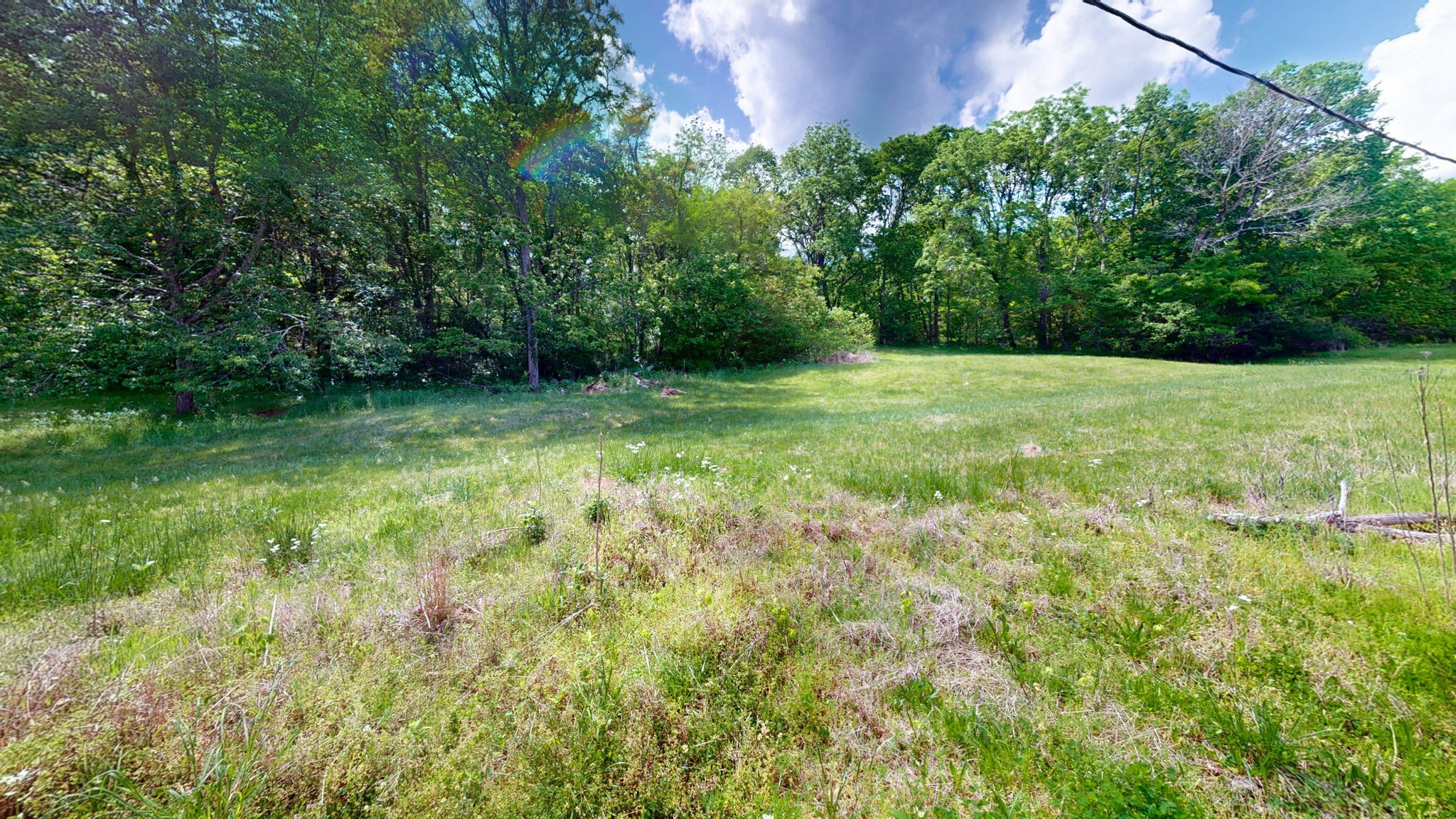 2517 Patton Hollow Road Watertown, TN 37184 - Photo 12 of 29
