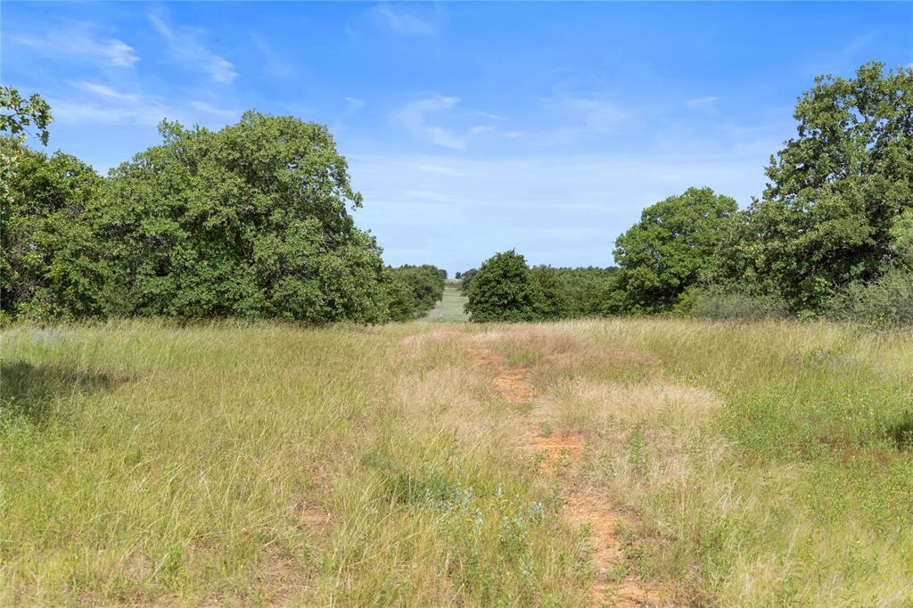 Tbd Berry Dairy Road Bryson, TX 76427 - Photo 36 of 39