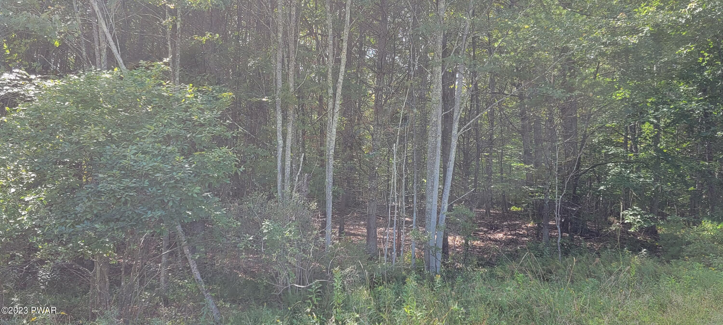 Lot #21 Mohn Road Narrowsburg, NY 12764 - Photo 3 of 9