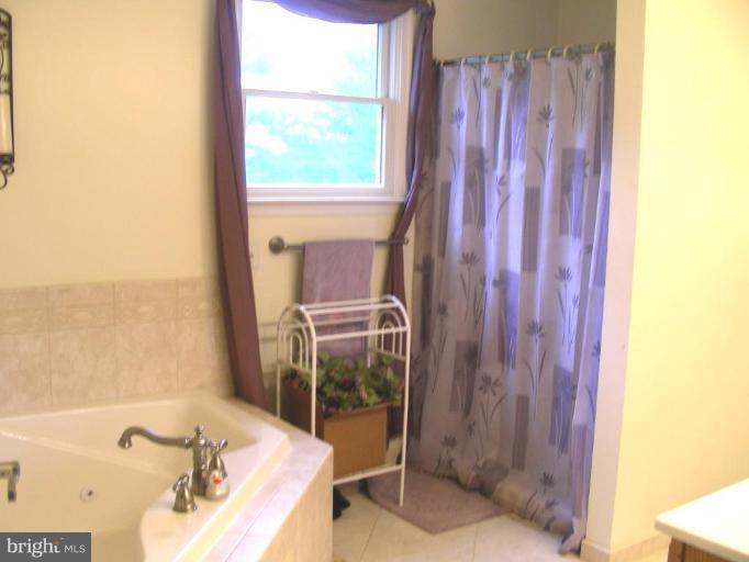 16400 Old Frederick Road Mount Airy, MD 21771 - Photo 10 of 22 Master Bath