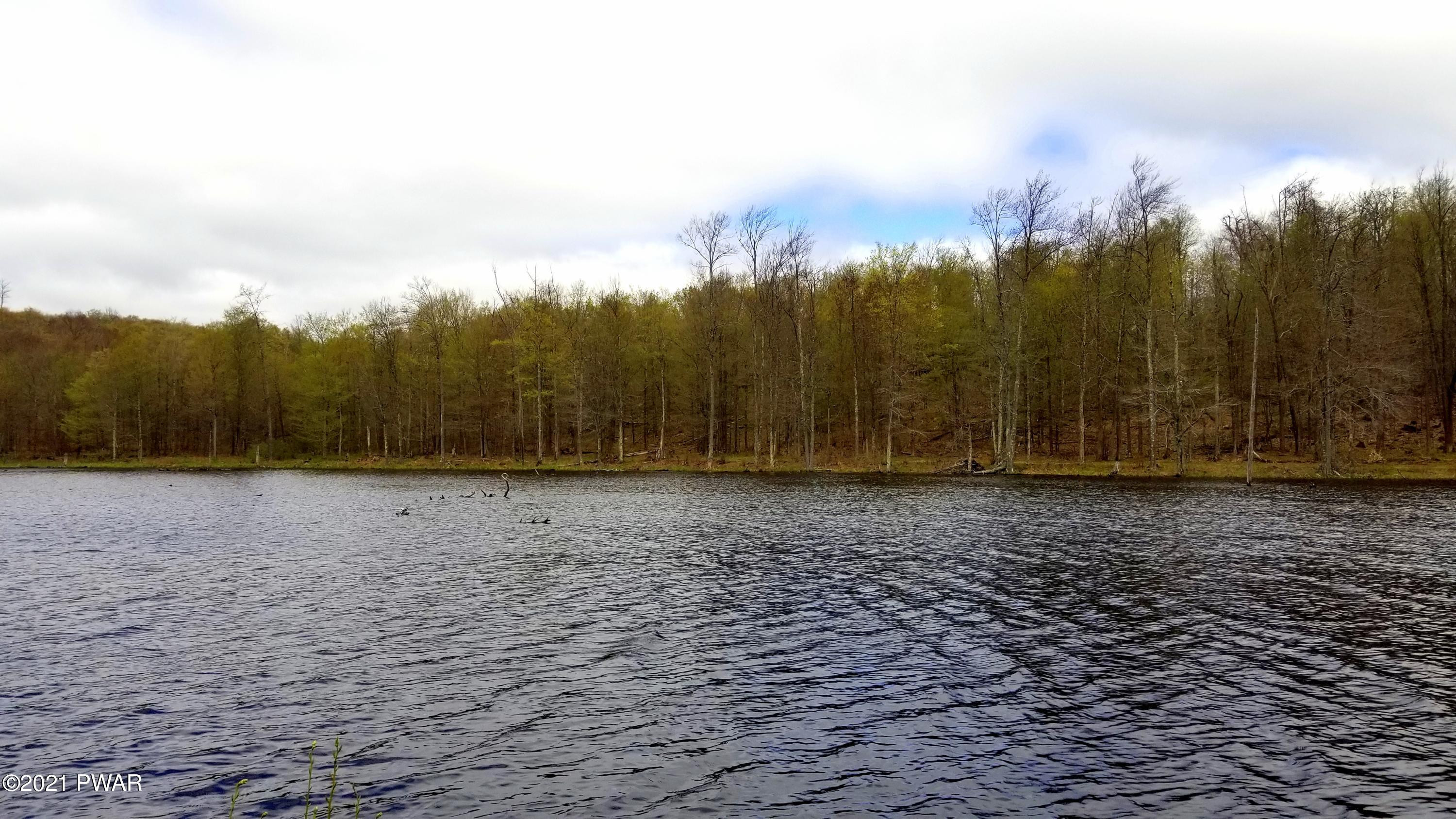 Lot 80 Stonegate Road Equinunk, PA 18417 - Photo 23 of 58