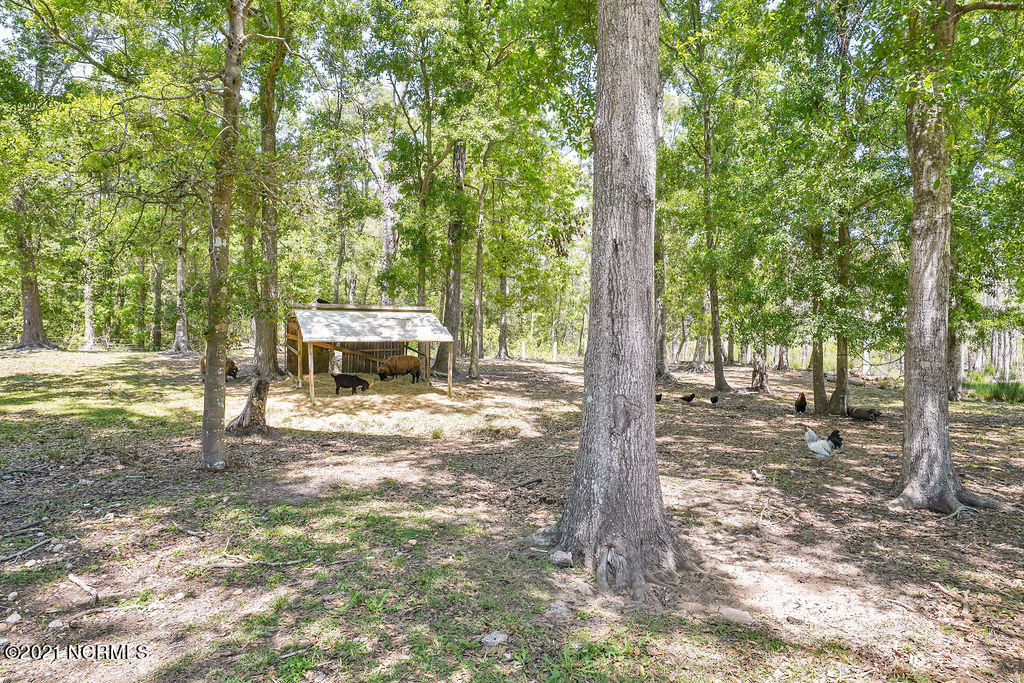 2530 Midway Road Southeast Bolivia, NC 28422 - Photo 55 of 90 2530MidwayRoadSoutheast-53