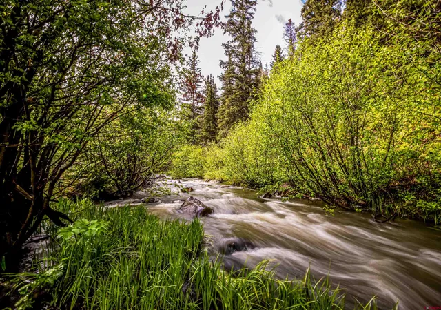 a view of street view with large trees