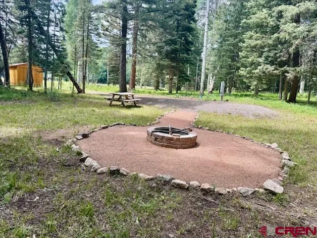 a view of a park with large trees