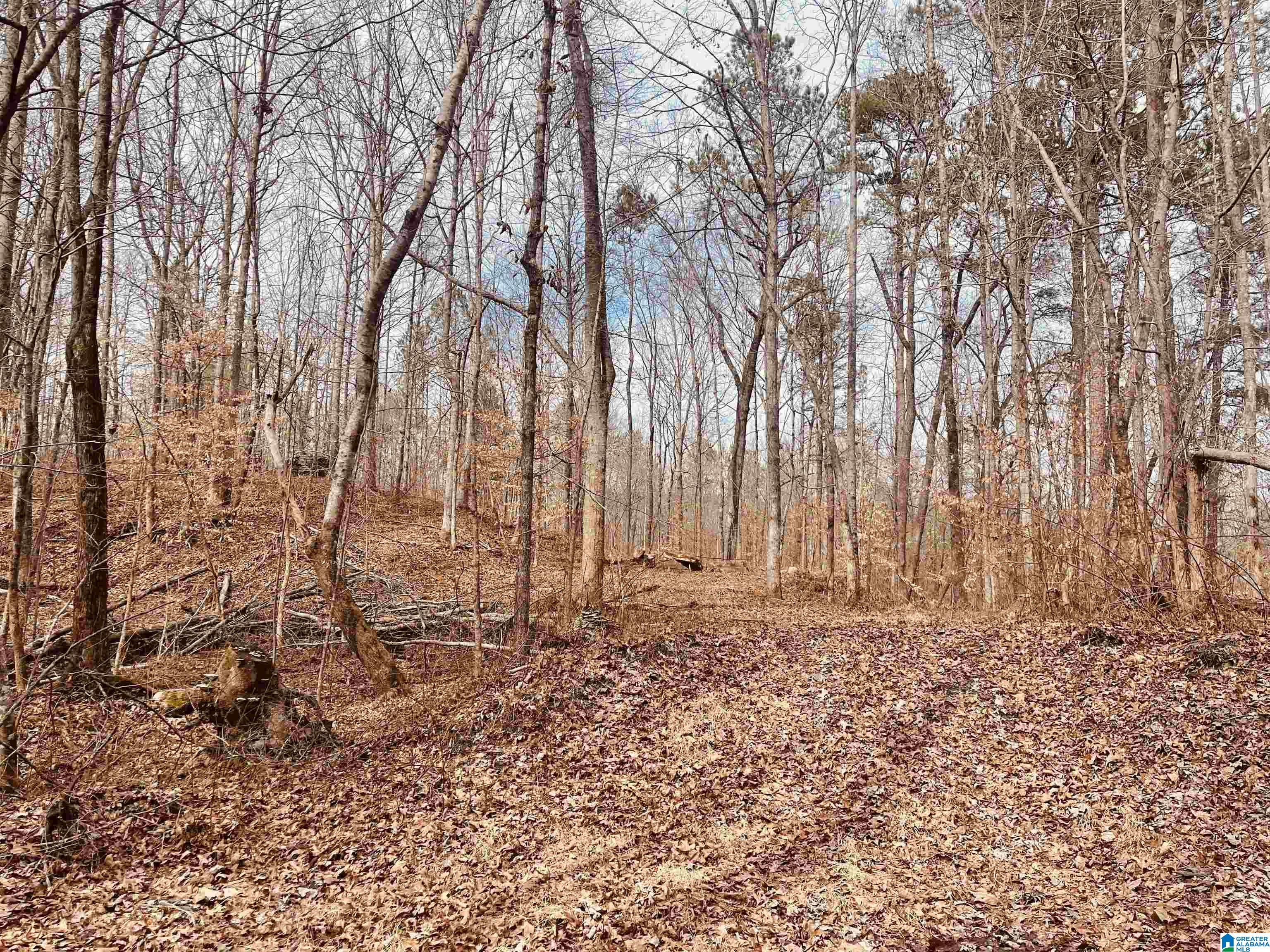 3285 Popes Chapel Road Ragland, AL 35131 - Photo 54 of 60 Gallery Image 54