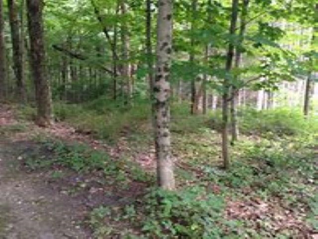 ***** Buckaroo Trail, Unit 11 Petoskey, MI 49770 - Photo 2 of 11