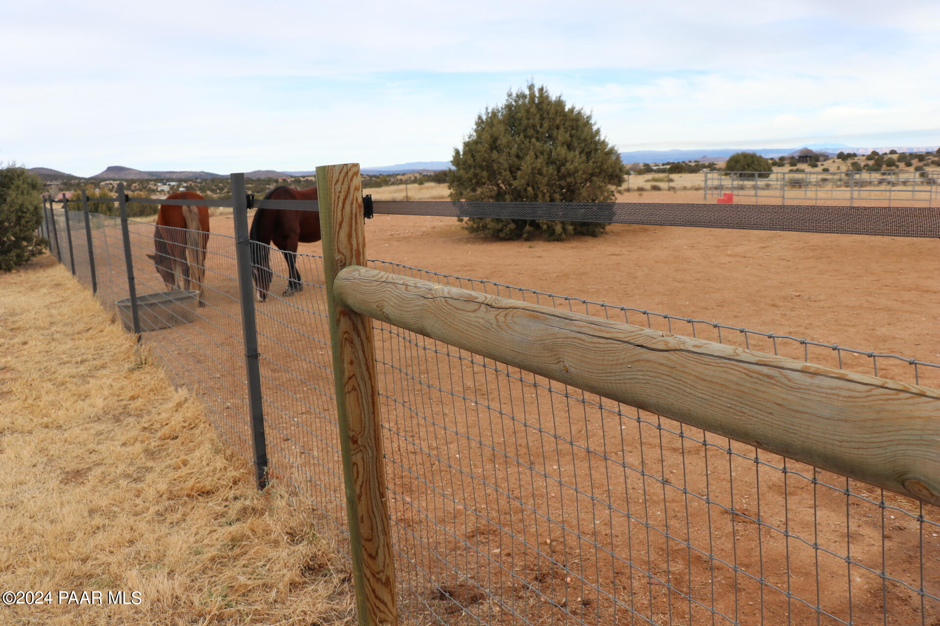 630 Bandit Ridge Road Prescott, AZ 86305 - Photo 36 of 39 Terrell ExtFencingHorses