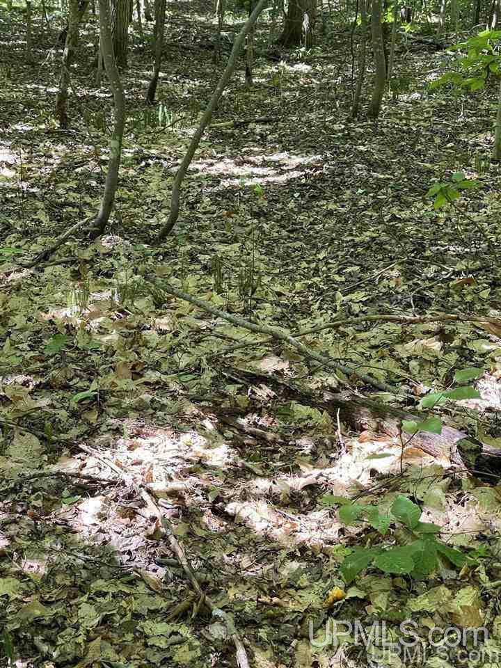 220 W Ford Lake Road Germfask, MI 49836 - Photo 23 of 26
