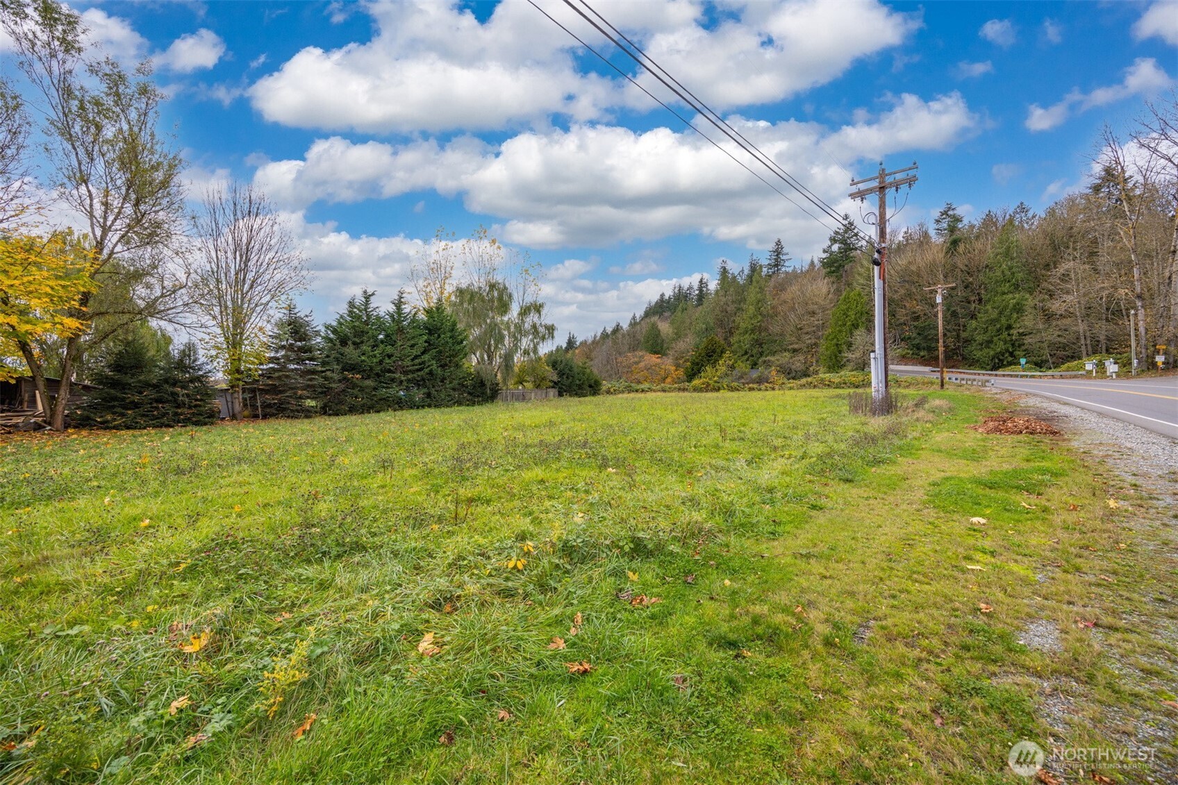 18928 Bow Hill Road Burlington, WA 98233 - Photo 38 of 39 a view of a field with an trees