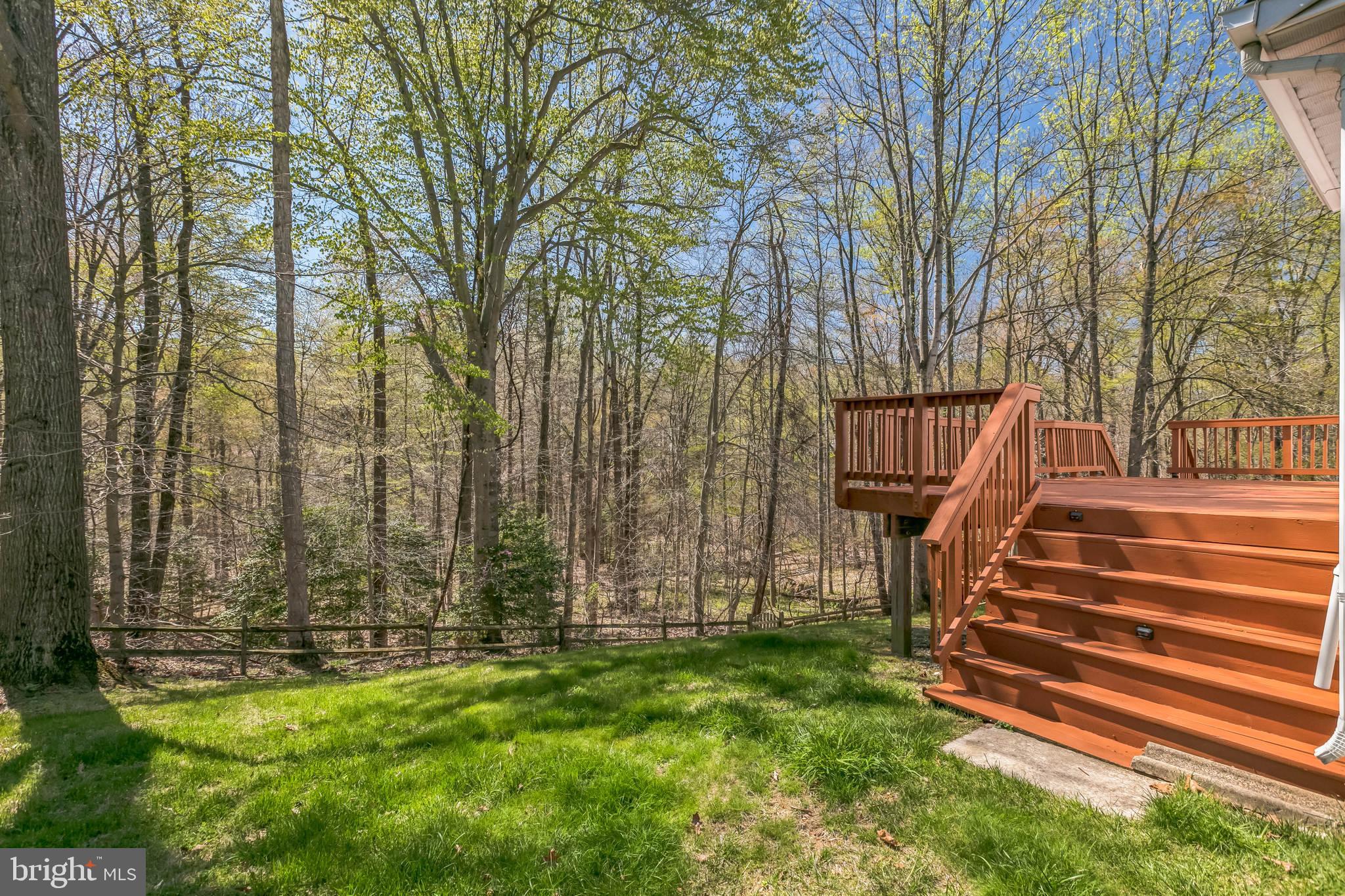 7567 Cloud Court Springfield, VA 22153 - Photo 42 of 46 First Deck Stairs