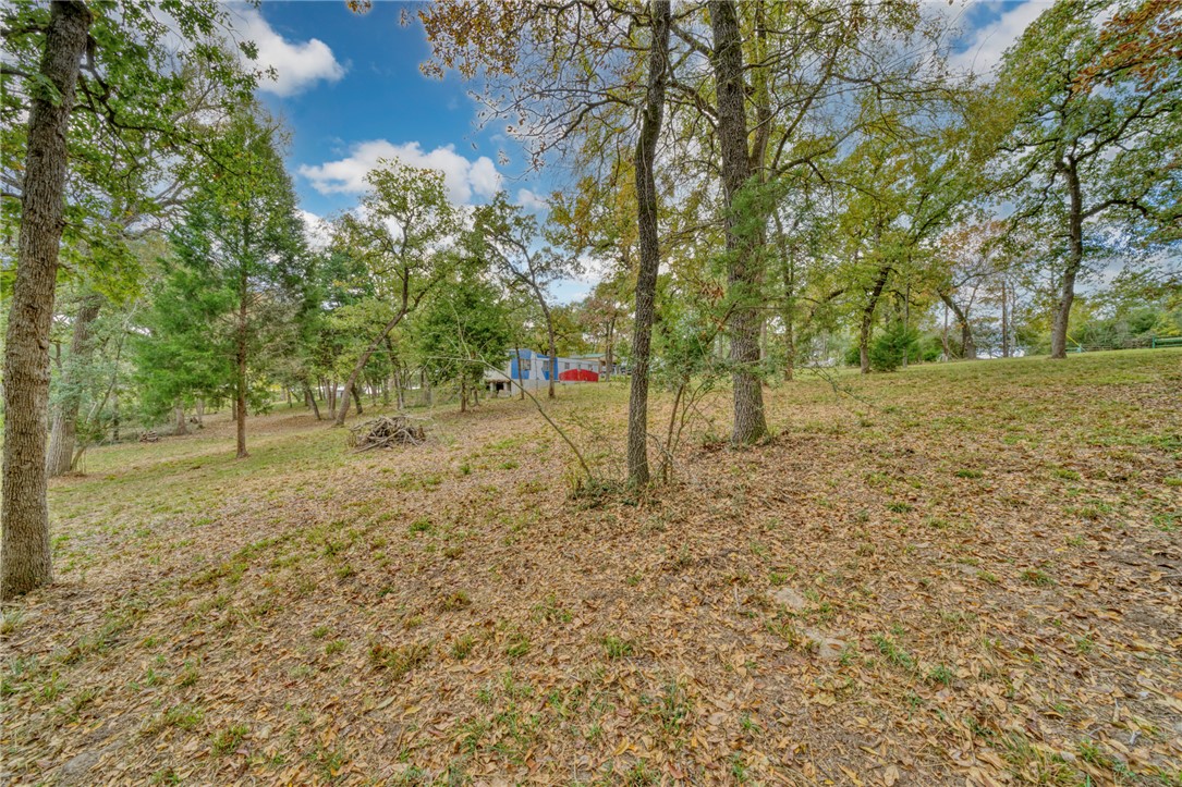 10232 Riley Green Road Franklin, TX 77856 - Photo 10 of 40 View of yard