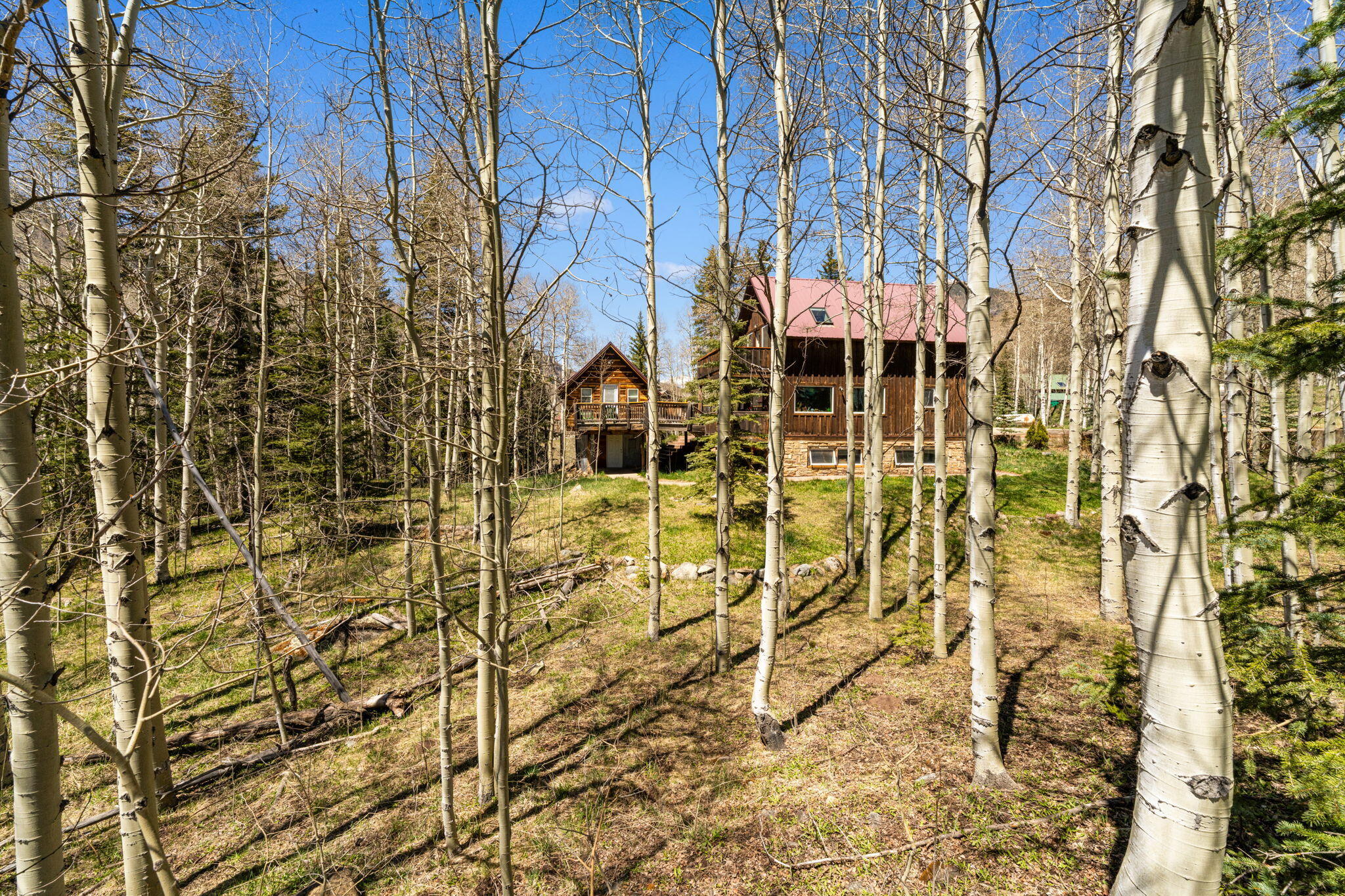 454 Silverglance Way Rico, CO 81332 - Photo 9 of 28 454 Silverglance