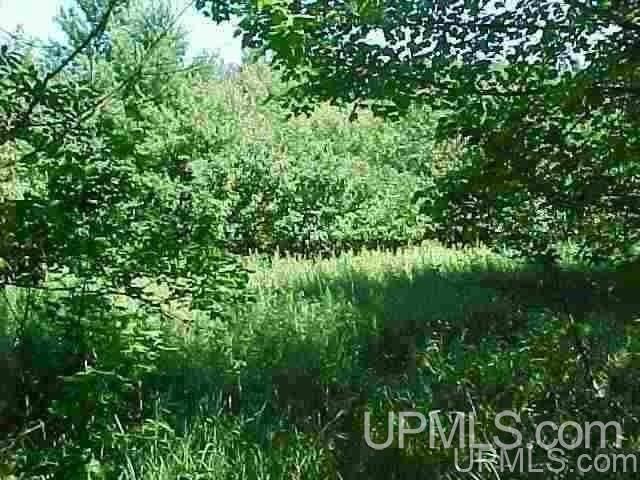 Tbd Off Center Street Munising, MI 49862 - Photo 1 of 3