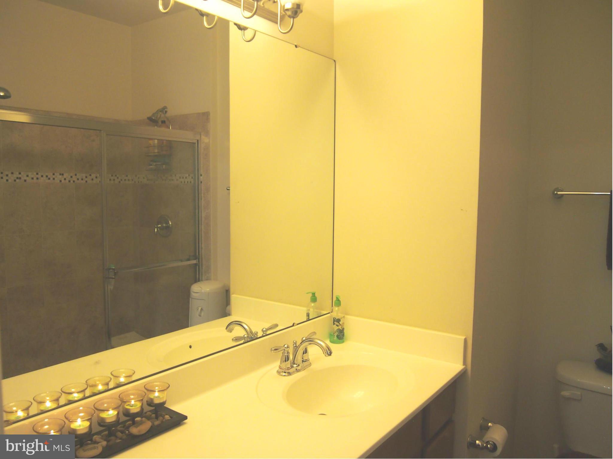 7208 Abbey Road Elkridge, MD 21075 - Photo 16 of 19 Great Master Bathroom