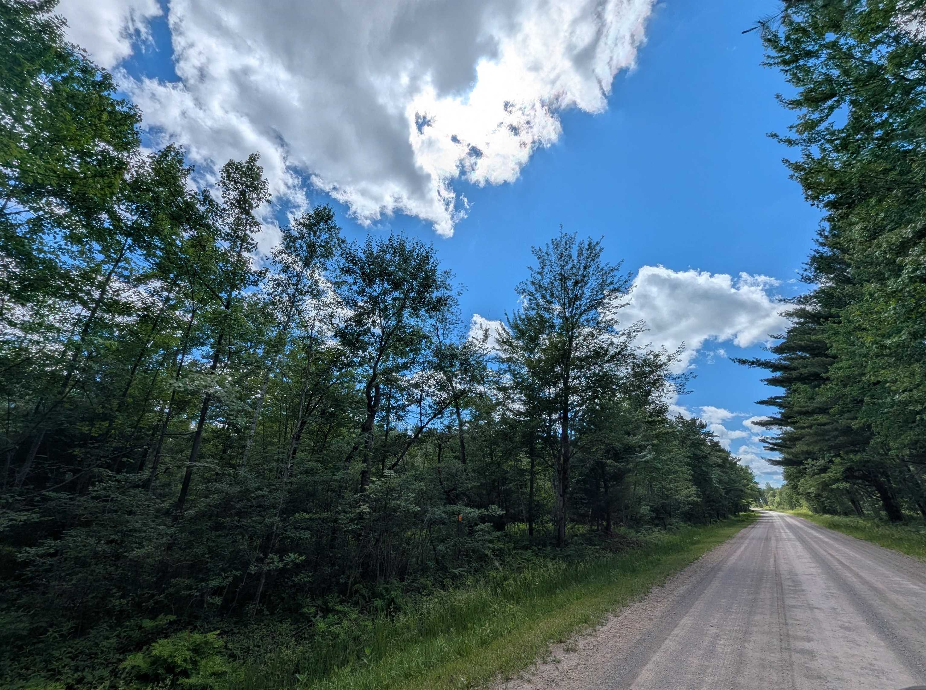 N/a Bordeau Road Standish, MI 48658 - Photo 3 of 8