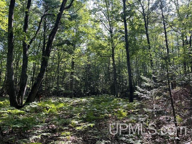 2048 Deer Lake Road Ishpeming, MI 49849 - Photo 30 of 40