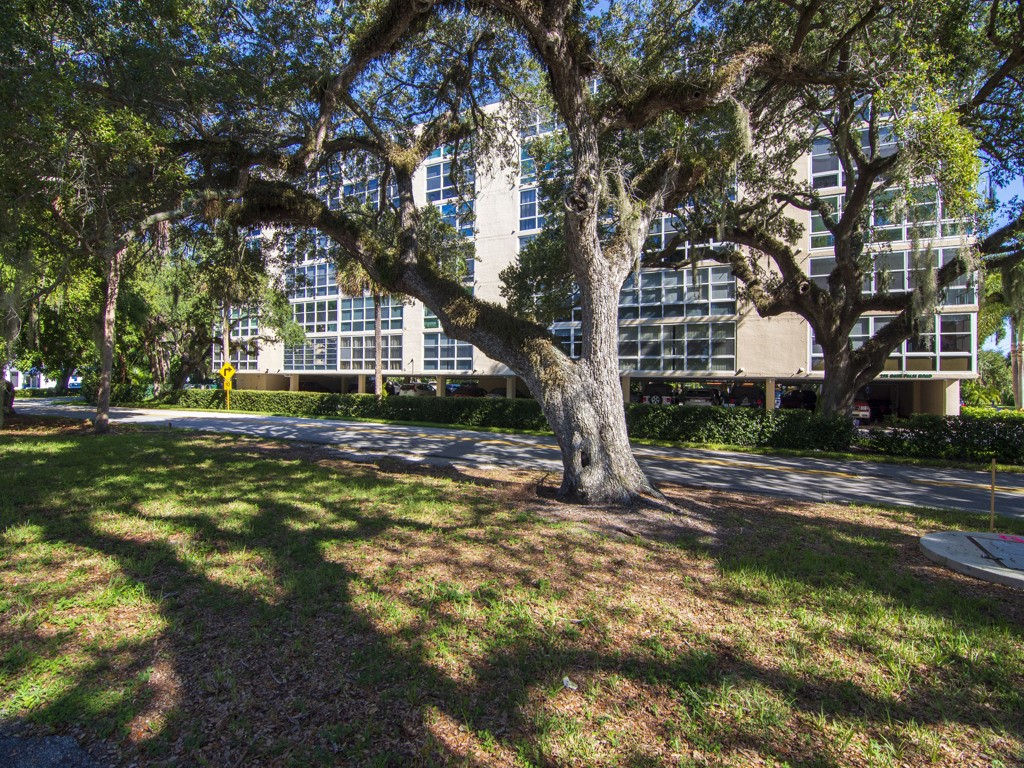 275 Date Palm Road, Unit 304 Vero Beach, FL 32963 - Photo 18 of 36 a view of a house with a tree in front of a house