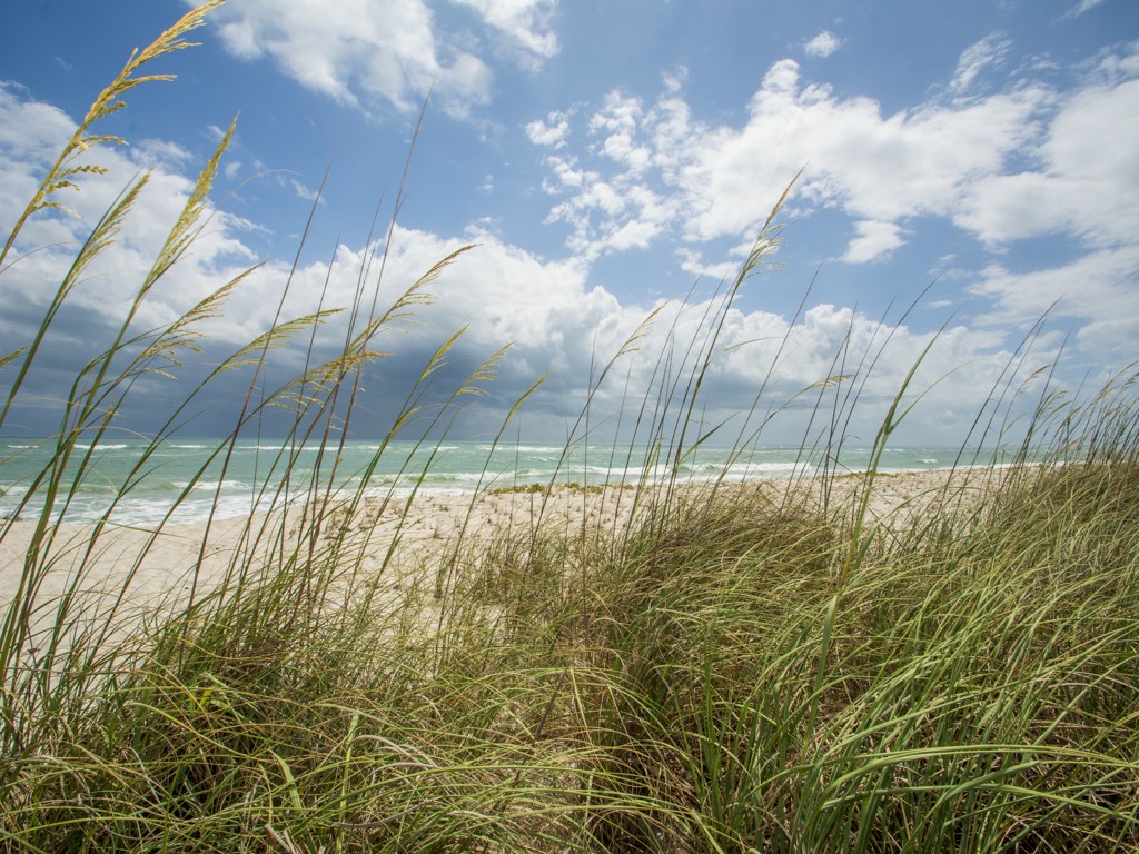 275 Date Palm Road, Unit 304 Vero Beach, FL 32963 - Photo 32 of 36 a view of a backyard