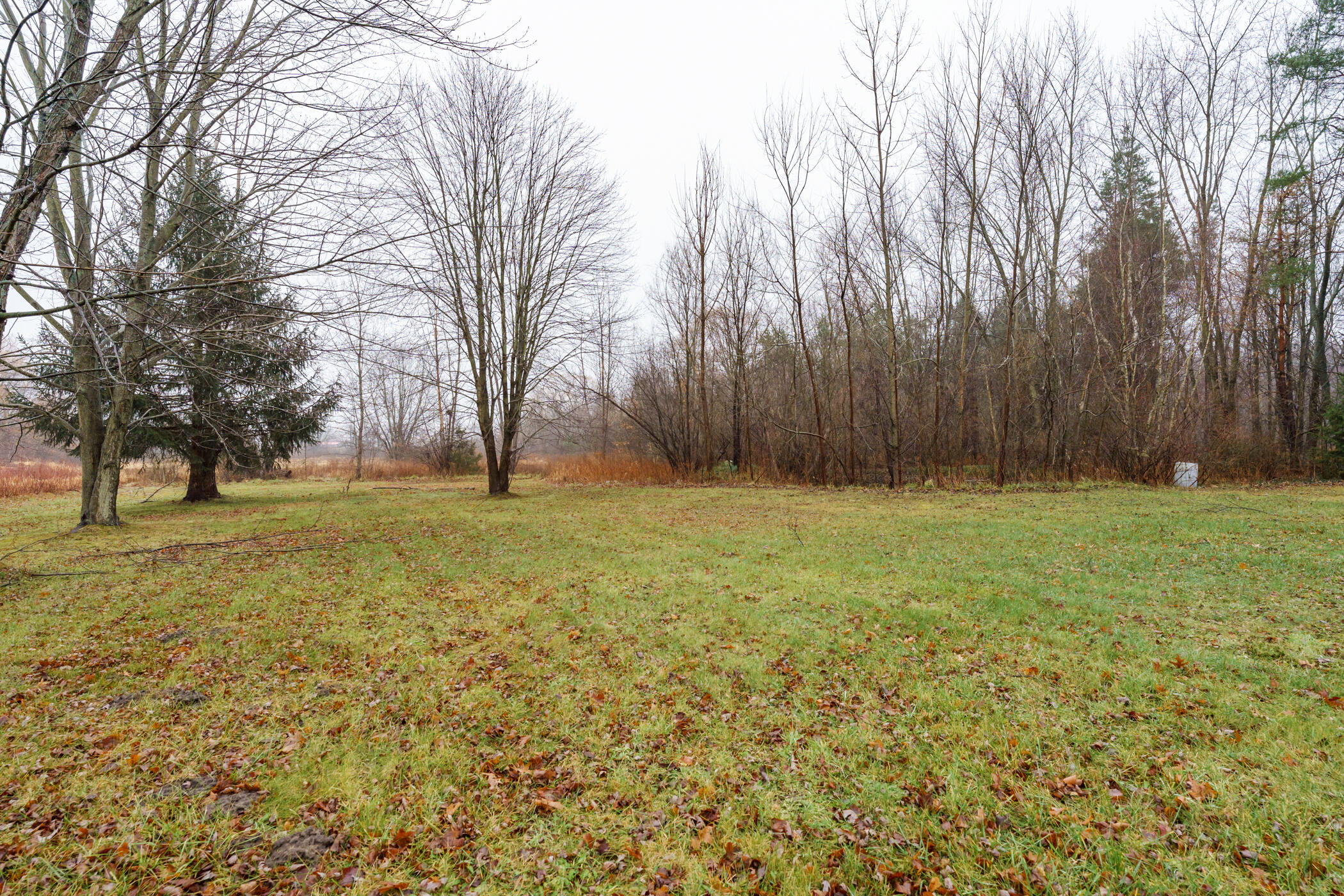 10333 Jericho Road Bridgman, MI 49106 - Photo 32 of 32 RRE-Jericho_Rd_10333_Bridgman_49106-43