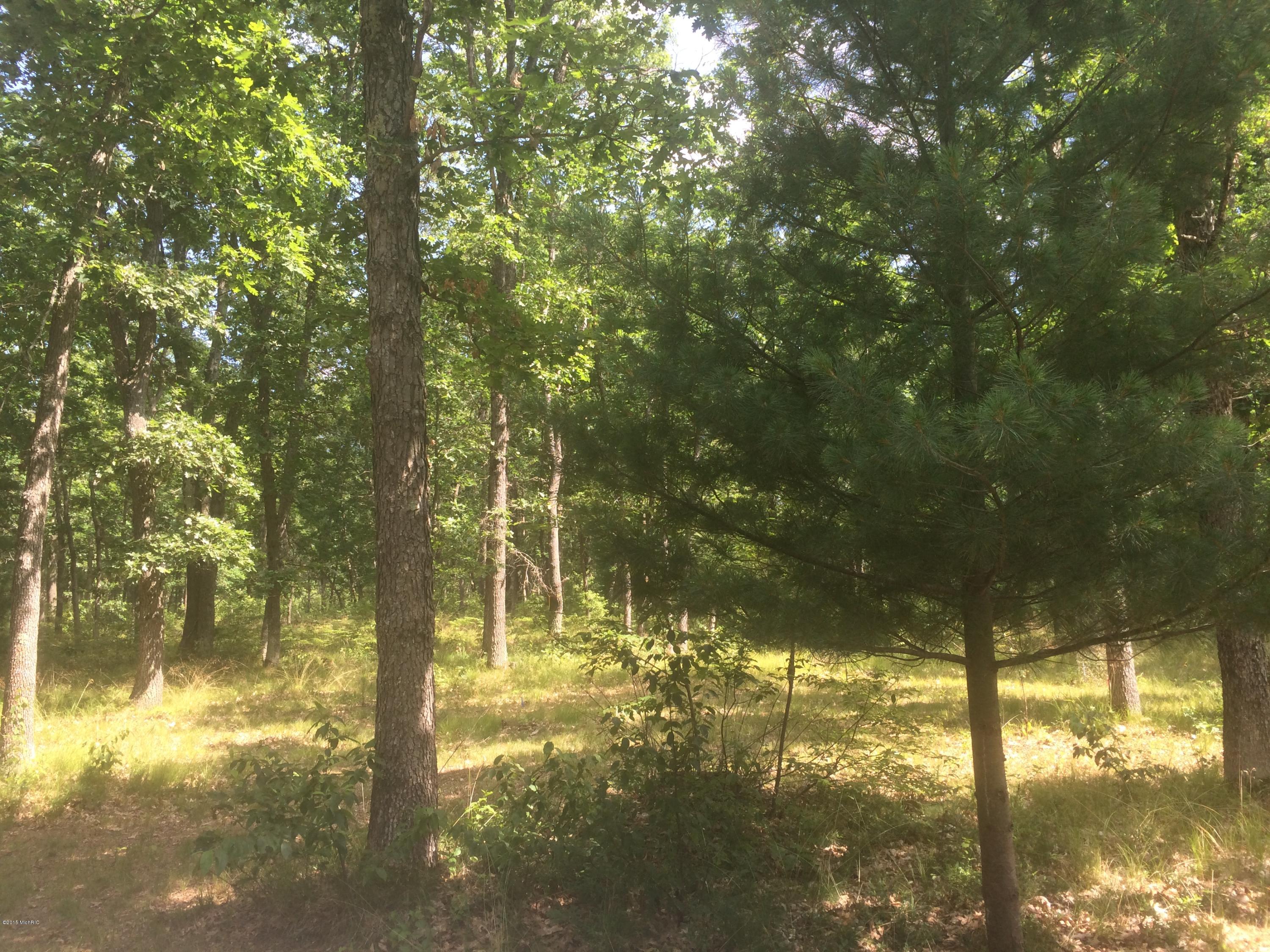 51 West Piney Road Manistee, MI 49660 - Photo 1 of 2 IMG_1723