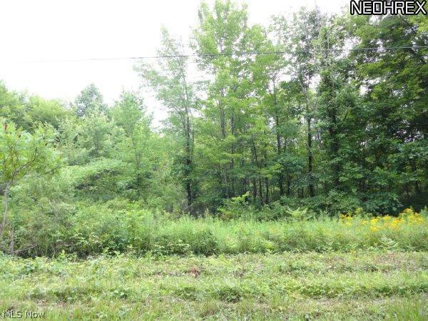 5315 Weaver Road Conneaut, OH 44030 - Photo 1 of 2 Gallery Image 1