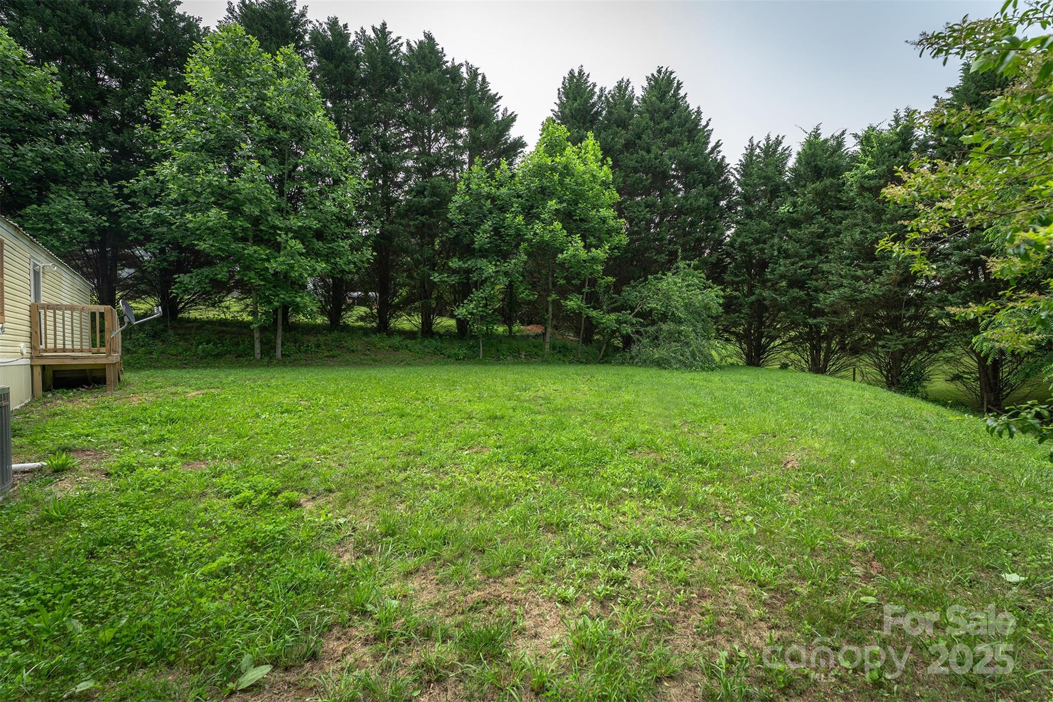 843 Deep Gap Loop Road Flat Rock, NC 28731 - Photo 26 of 33