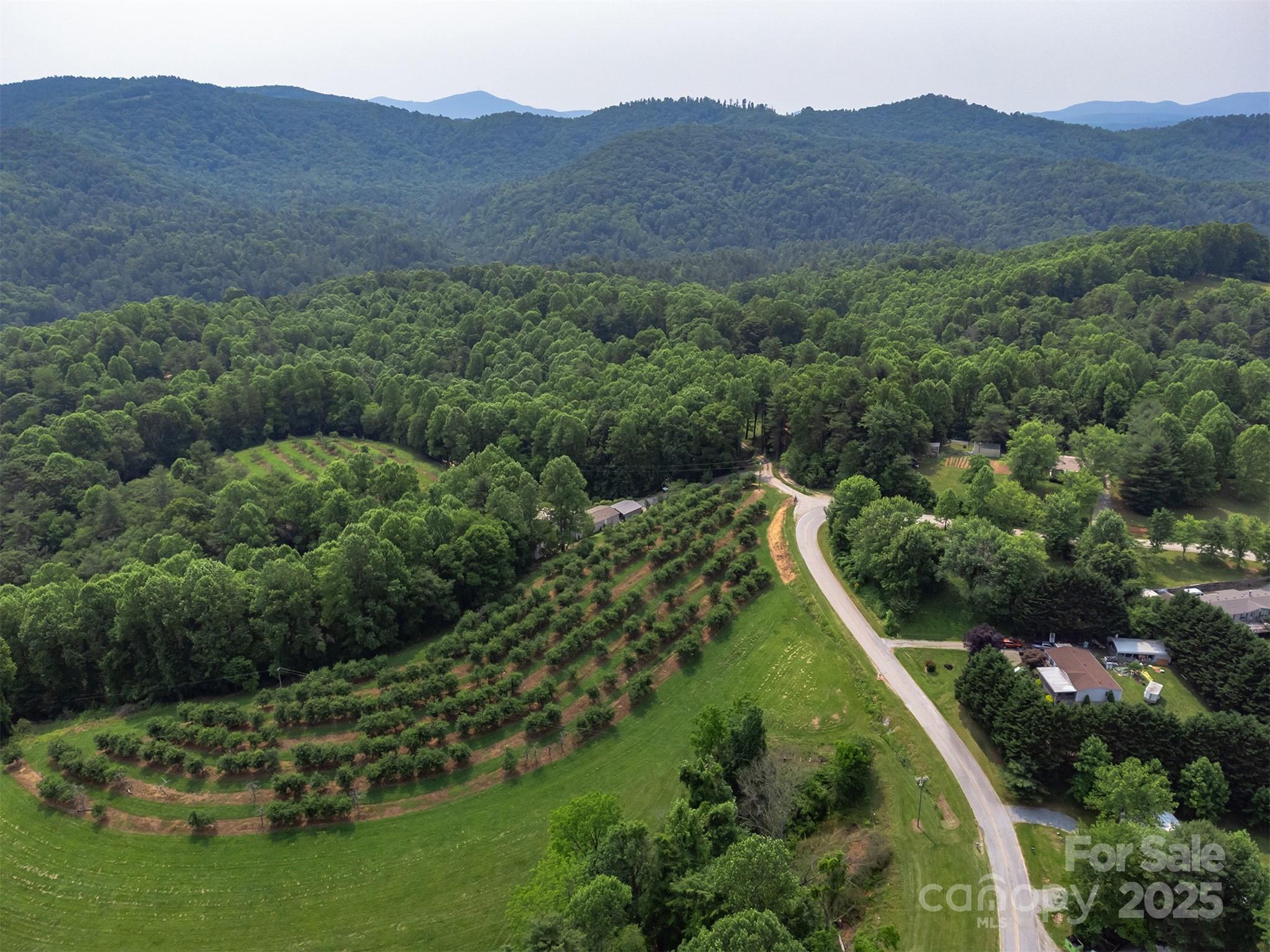 843 Deep Gap Loop Road Flat Rock, NC 28731 - Photo 33 of 33