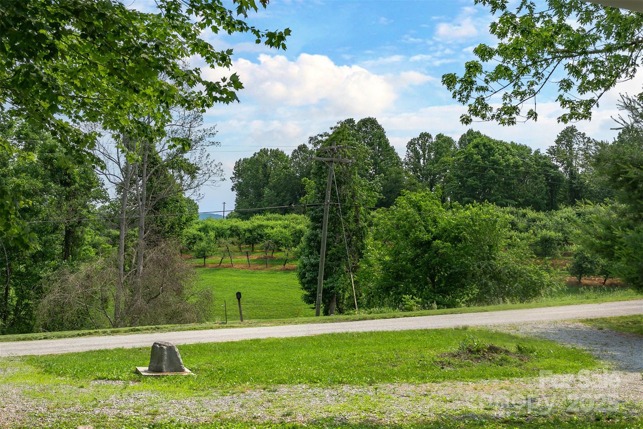 843 Deep Gap Loop Road Flat Rock, NC 28731 - Photo 6 of 33