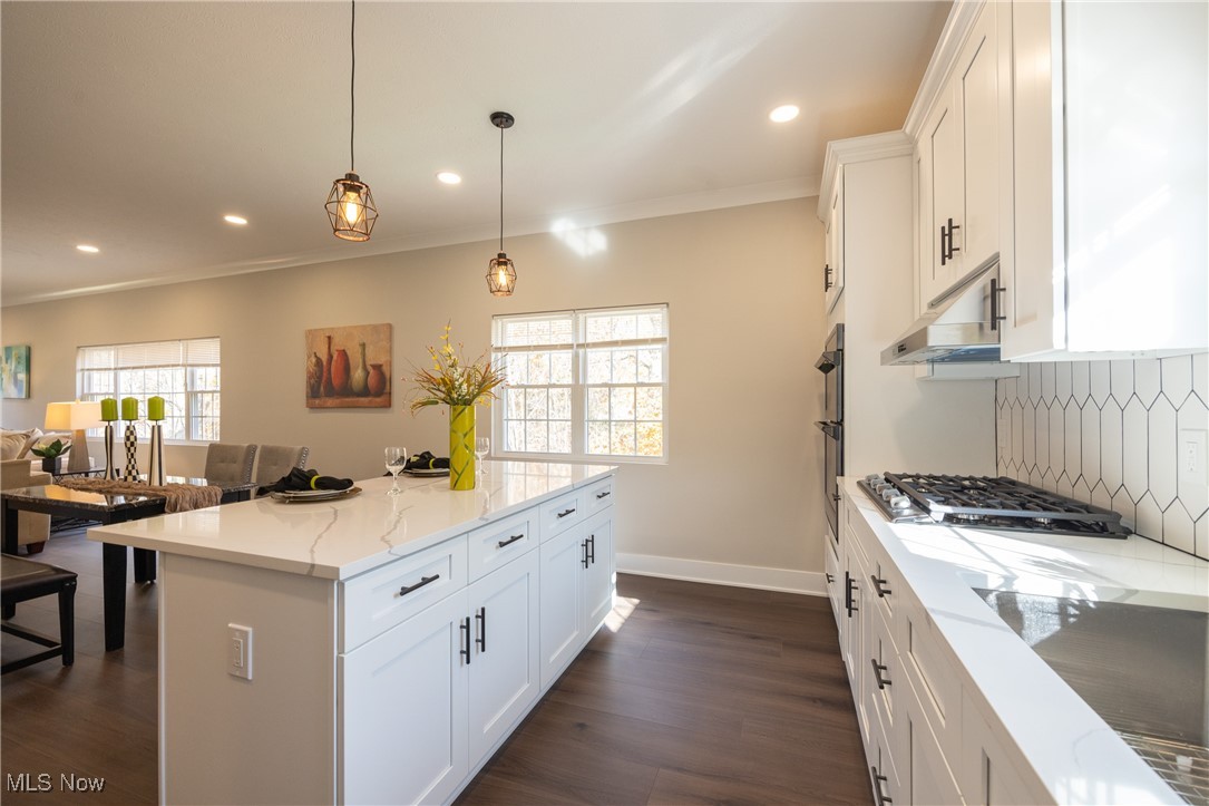 2443 Rockefeller Road Wickliffe, OH 44092 - Photo 5 of 41 Kitchen with decorative light fixtures, a wealth of natural light, dark hardwood / wood-style flooring, and white cabinetry