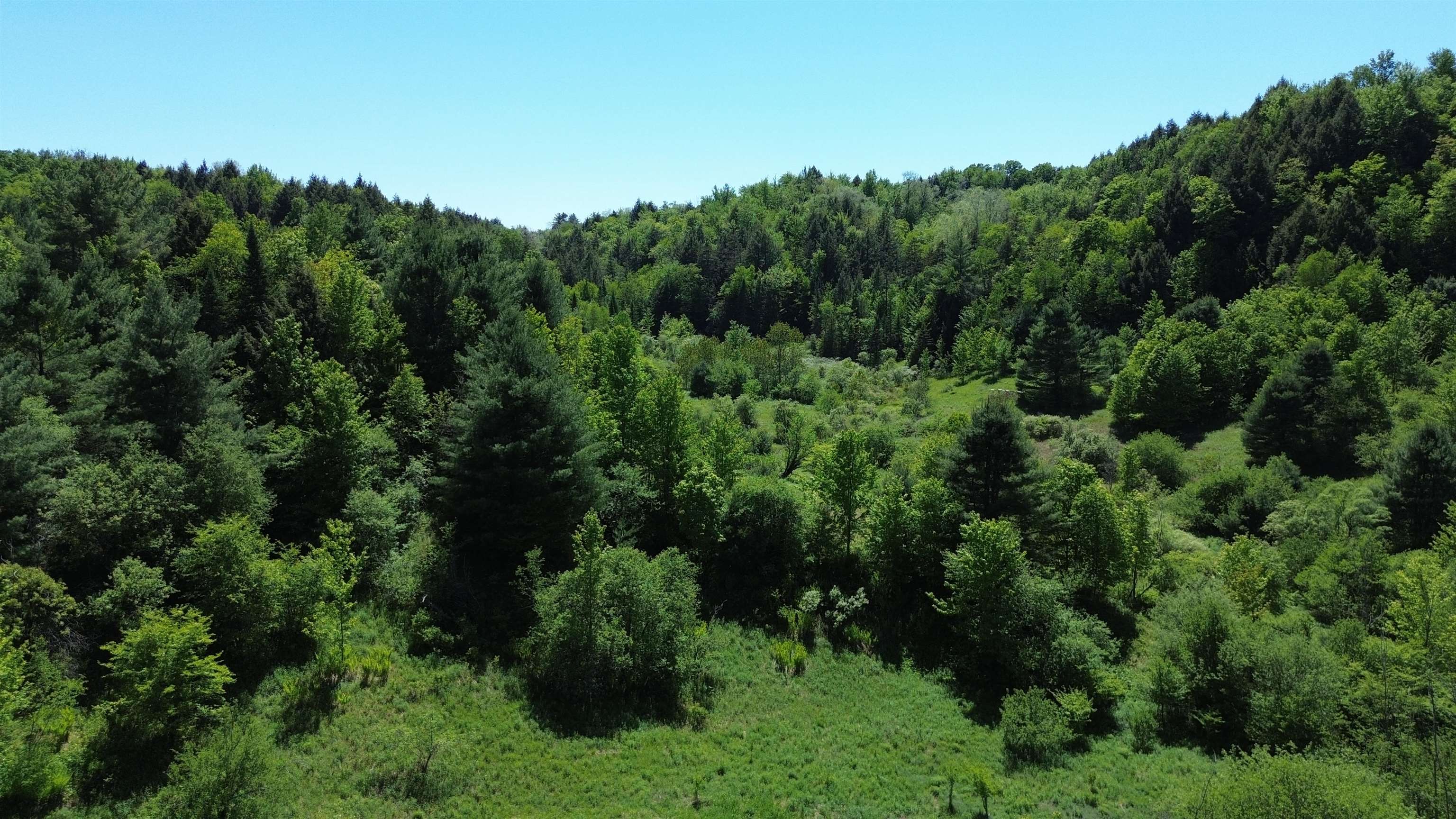Lot 0 Darling Road Morristown, VT 05661 - Photo 8 of 9