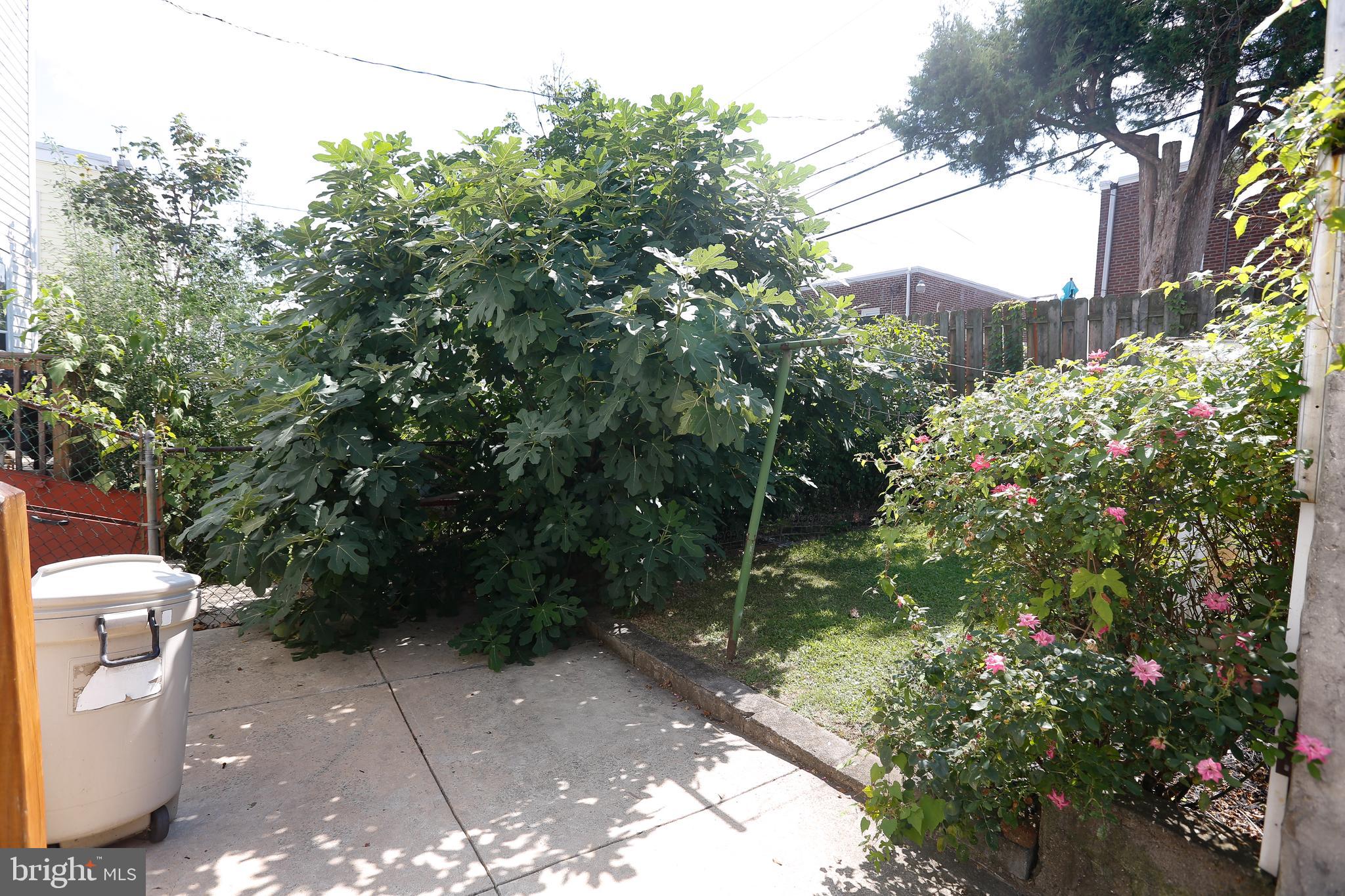 4036 Ellendale Road Drexel Hill, PA 19026 - Photo 28 of 32 Rear Yard
