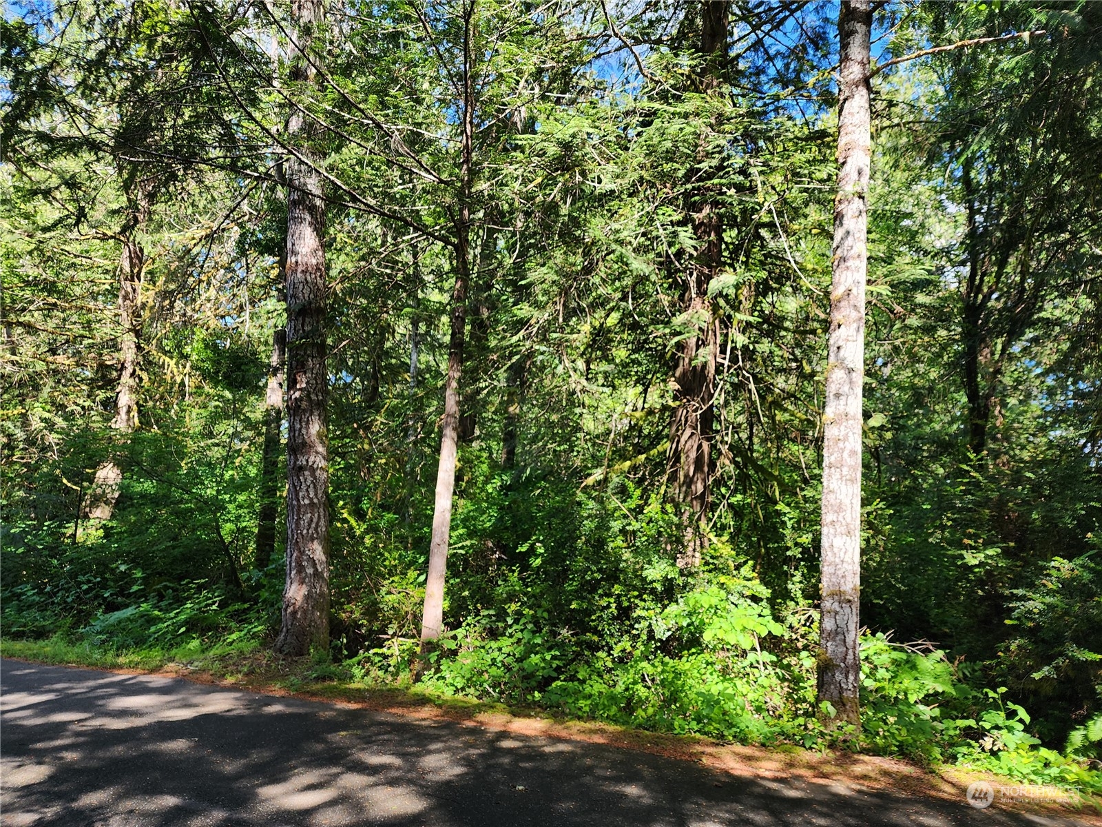 161 East Geist Point Road Shelton, WA 98584 - Photo 11 of 14