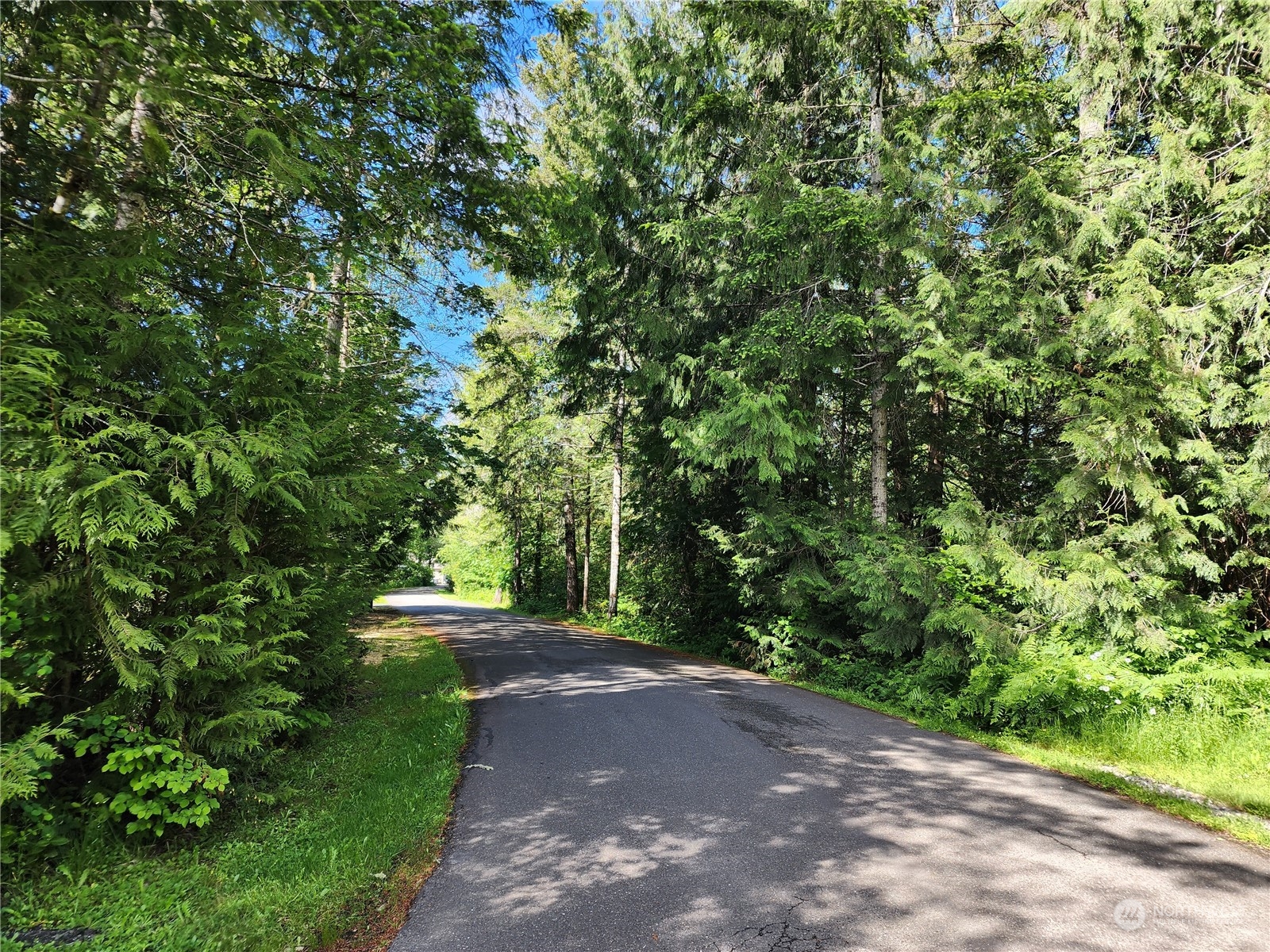 161 East Geist Point Road Shelton, WA 98584 - Photo 6 of 14 a view of yard with green space