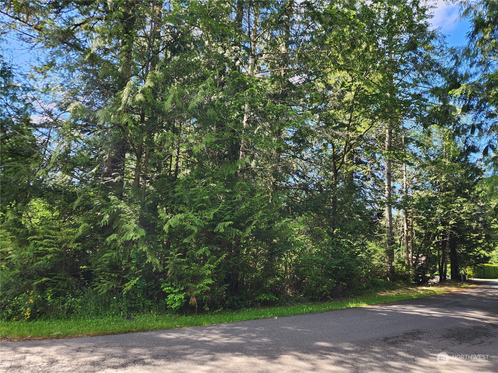 161 East Geist Point Road Shelton, WA 98584 - Photo 7 of 14 a view of a yard with plants and trees