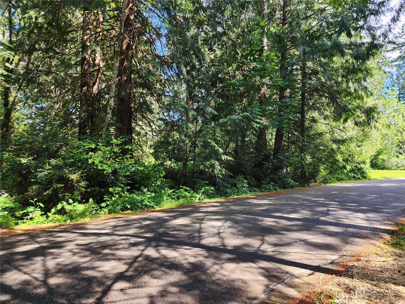 161 East Geist Point Road Shelton, WA 98584 - Photo 10 of 14 a view of a yard with a tree