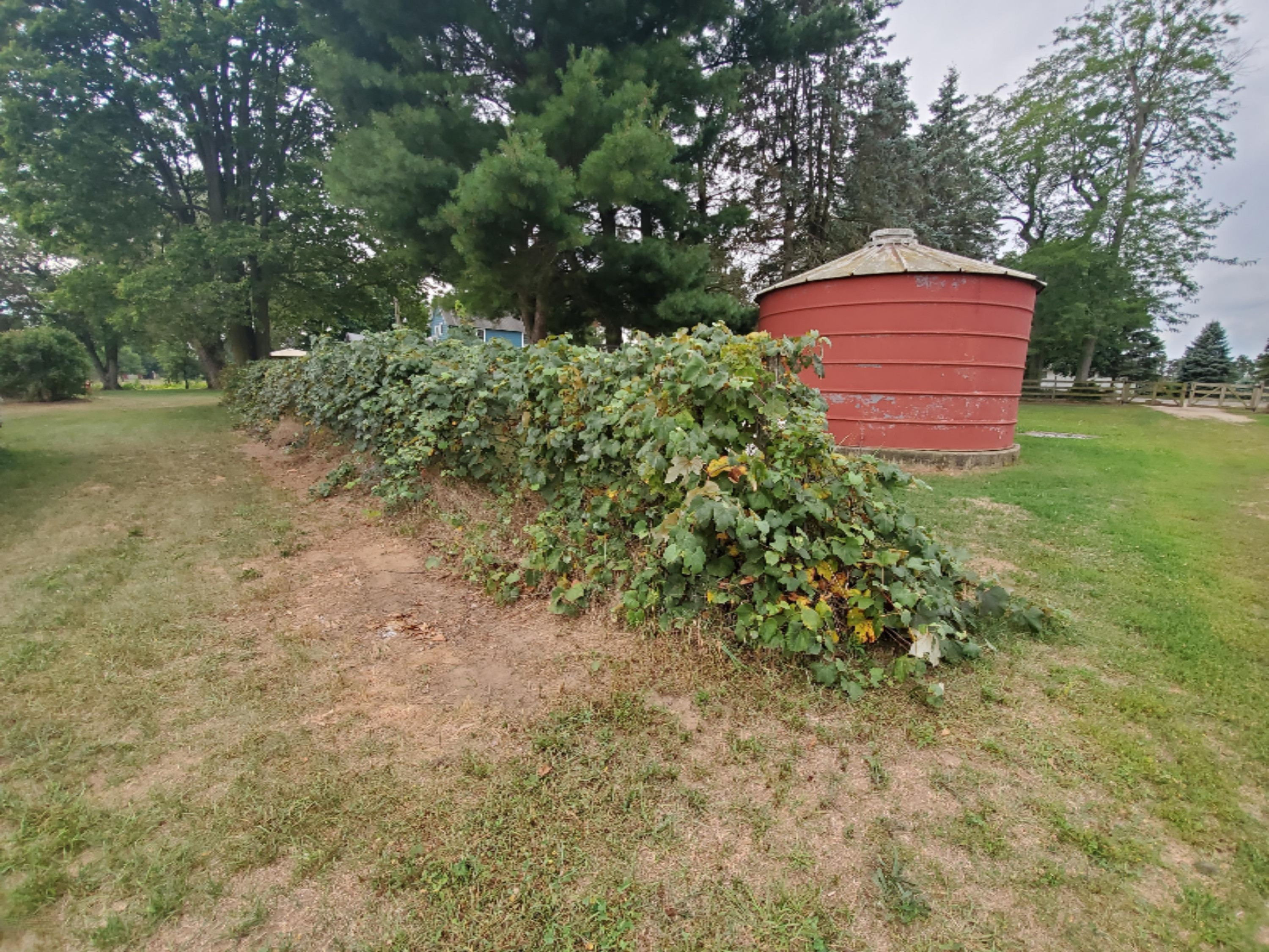 55919 Buckhorn Road Three Rivers, MI 49093 - Photo 36 of 46 20200825_101013