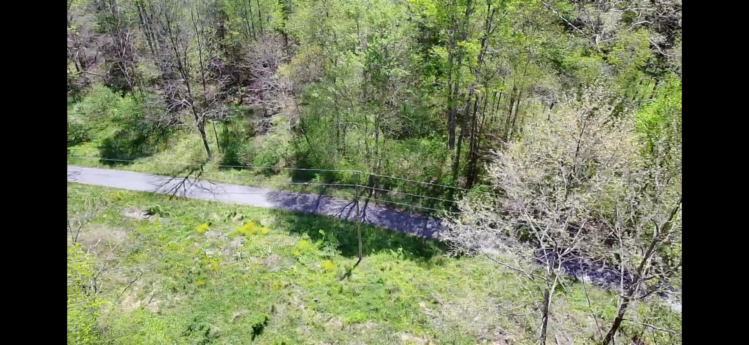 Tbd Bob Byrd Road Beeson, WV 24714 - Photo 12 of 18 Gallery Image 12