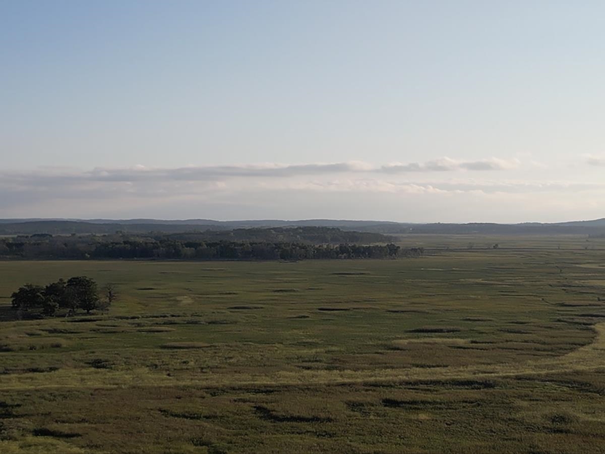 111 Acres Montello, WI 53949 - Photo 5 of 8