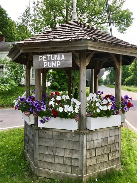 Lot 35 Hope Road Lincolnville, ME 04849 - Photo 6 of 7 The iconic Petunia Pump is steps...