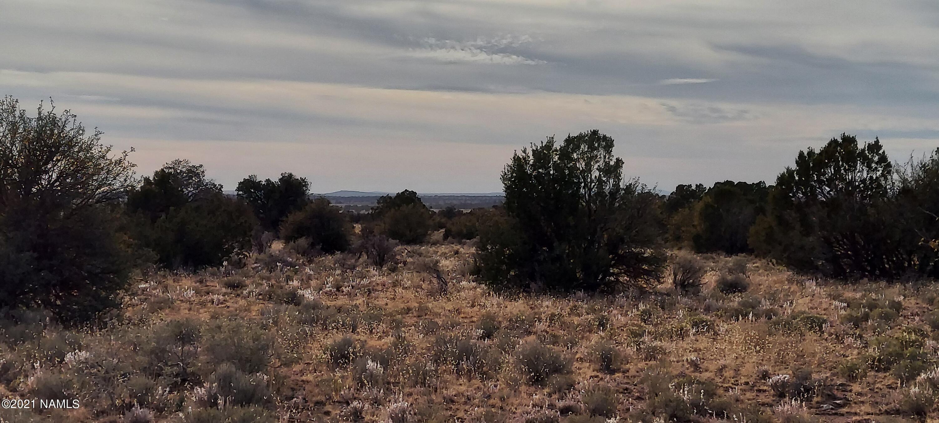 1910 Red Butte Road Williams, AZ 86046 - Photo 13 of 30 20211119_145258
