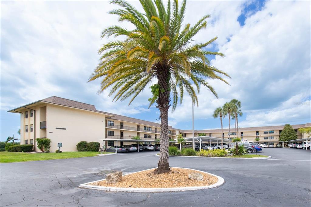 12300 Vonn Road, Unit 4101 Largo, FL 33774 - Photo 2 of 46 a backyard of a house with table and chairs