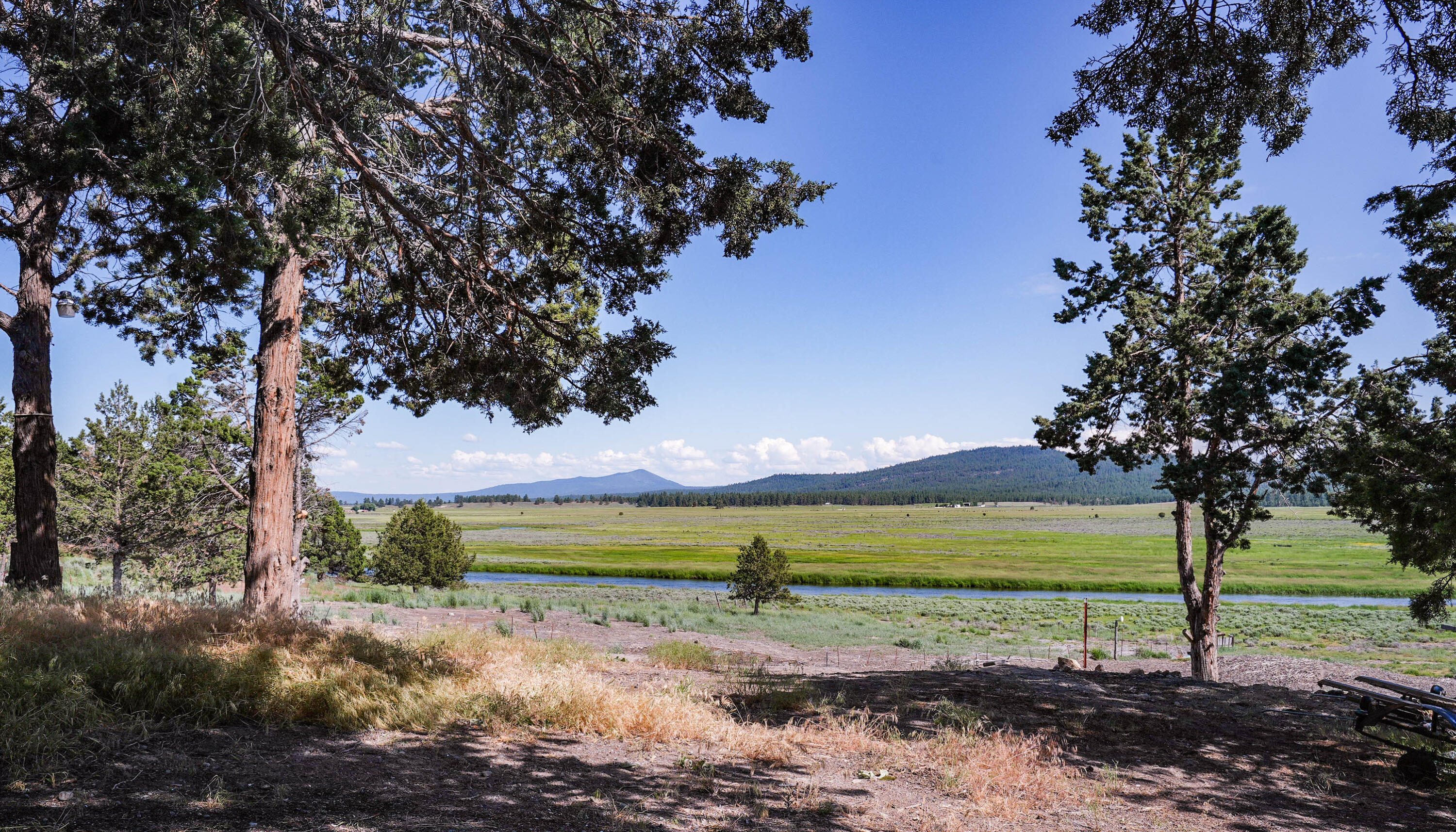 25016 Drews Road Chiloquin, OR 97624 - Photo 10 of 54 a view of a big yard with large trees