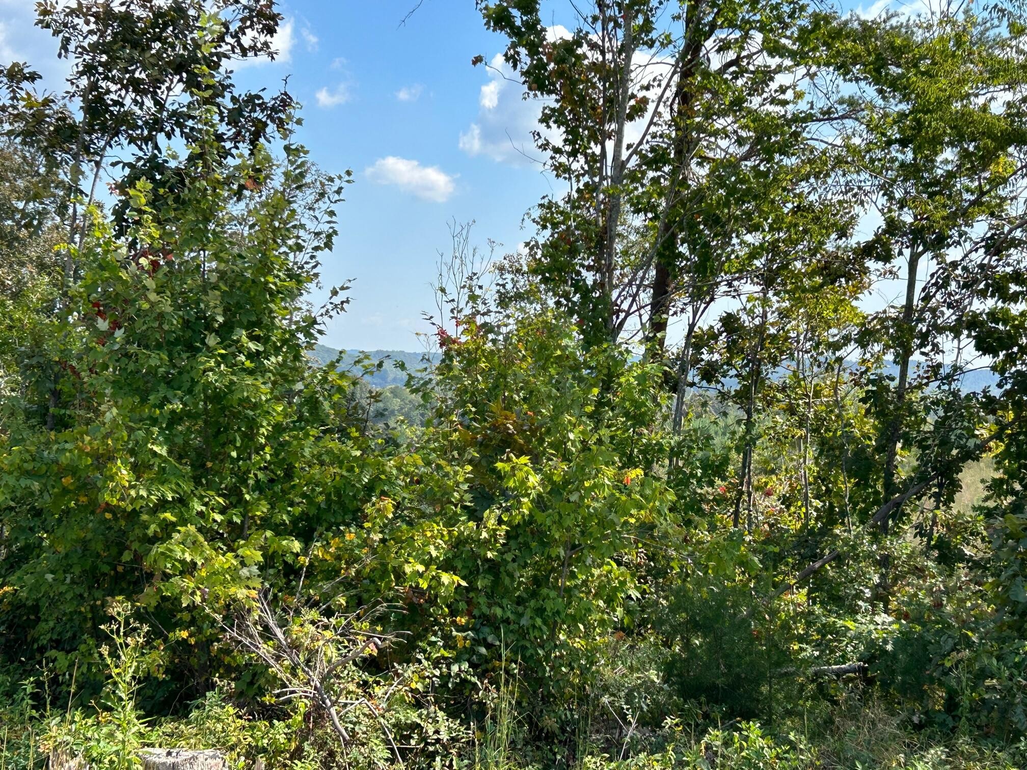 8 Euchee Road Ten Mile, TN 37880 - Photo 22 of 35