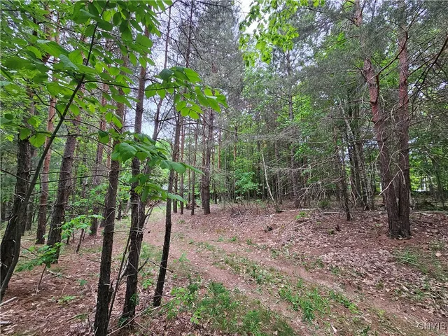 $119,900 | 2765 Highway 72, Hopkinton, NY 13676