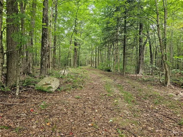 $114,900 | 2765 Highway 72, Hopkinton, NY 13676