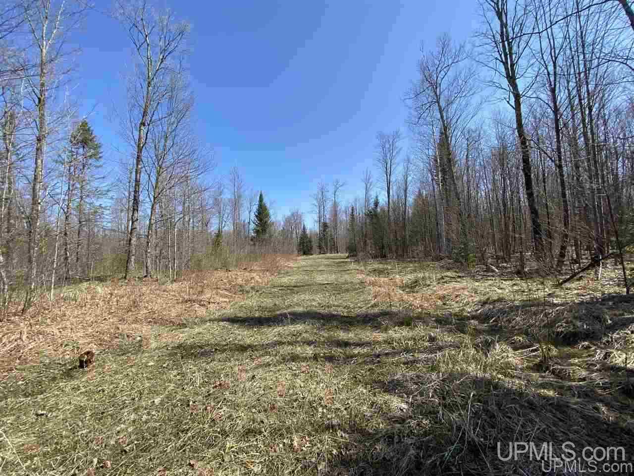 Off Nelson Road Glidden, WI 54527 - Photo 5 of 23