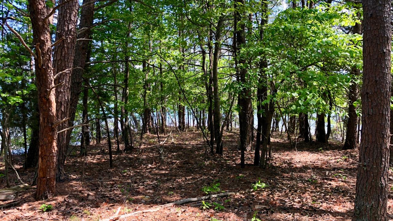 Lot 16 Lakestone Rd Union Union Hall, VA 24176 - Photo 15 of 30 KennedyShores_Final - 14 of 26