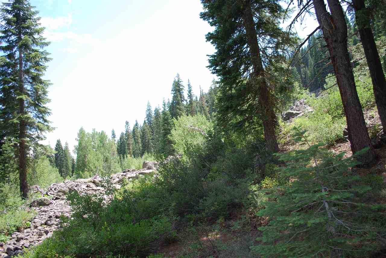 6233 River Road Olympic Valley, CA 96146 - Photo 12 of 12 Gallery Image 12